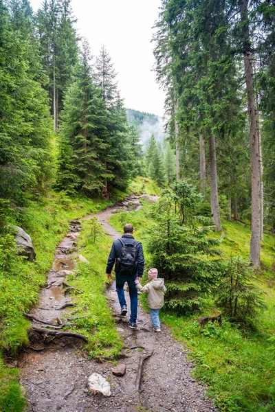 Turistas Caminando Bosque Alpino Día Verano Senderistas Excursionista Senderismo Con — Foto de Stock