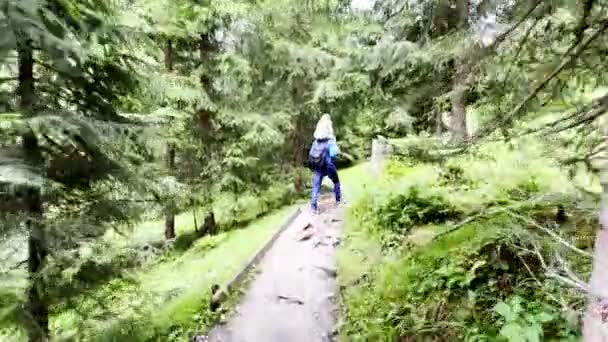 Turyści Spacerujący Alpejskim Lesie Letni Dzień Turyści Piesze Wędrówki Pięknym — Wideo stockowe