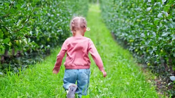 Little Girl Having Fun Apple Plantation South Tyrol San Pietro — Stock Video