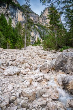 İtalya 'nın Braies Gölü' ne akan dağ akıntısı çam ormanları ve Dolomitlerin kayalık dağları ile çevrilidir. Yüksek kalite fotoğraf