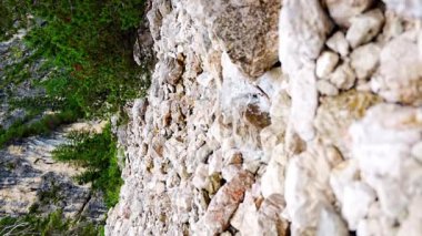 İtalya 'nın Braies Gölü' ne akan dağ akıntısı çam ormanları ve Dolomitlerin kayalık dağları ile çevrilidir. Yüksek kalite 4k görüntü