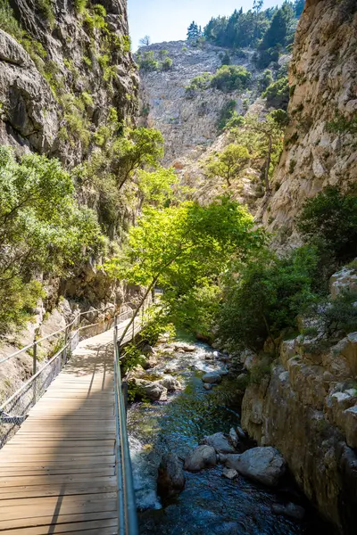 Türkiye 'nin Alanya yakınlarındaki Taurus dağlarında ahşap patikaları ve şelaleleri olan Sapadere kanyonu. Yüksek kalite fotoğraf