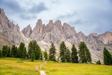 Puez Odle Doğa Parkı 'ndaki Dolomite manzarası. İtalya' nın yeşil çayırlı Alp Platosu 'ndan manzara. Yüksek kalite fotoğraf