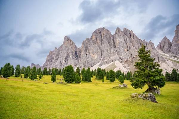 在Puez Odle自然公园中注入白云石景观 意大利高山高原绿地景观 高质量的照片 — 图库照片