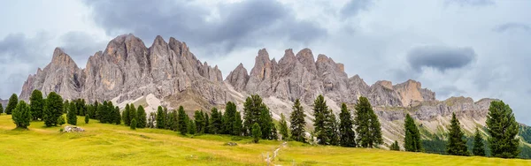 プエス オドル自然公園でドロマイトの風景を描いた イタリアの緑の牧草地のアルペン高原からの眺め 高品質の写真 — ストック写真