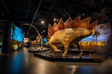 Prag, Çek Cumhuriyeti - 23 Ağustos 2023: Prag 'daki Dinozor Müzesi' nde dinozor iskeletleri ve modelleri. Yüksek kalite fotoğraf