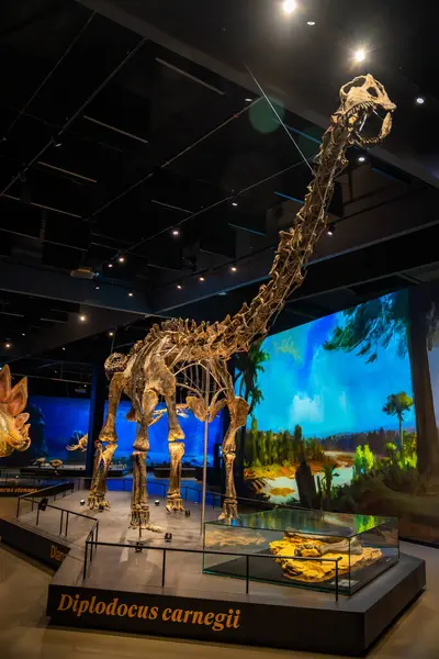 stock image Prague, Czech Republic - August 23, 2023: Dinosaur skeletons and models in Dinosaur Museum in Prague. High quality photo