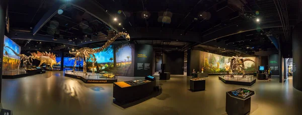Прага Чехия Августа 2023 Года Скелеты Модели Динозавров Музее Динозавров — стоковое фото