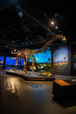 Prag, Çek Cumhuriyeti - 23 Ağustos 2023: Prag 'daki Dinozor Müzesi' nde dinozor iskeletleri ve modelleri. Yüksek kalite fotoğraf