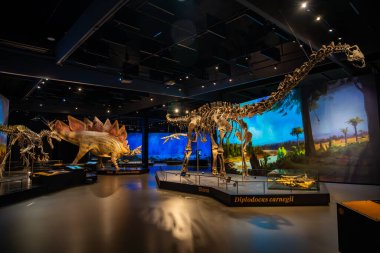 Prag, Çek Cumhuriyeti - 23 Ağustos 2023: Prag 'daki Dinozor Müzesi' nde dinozor iskeletleri ve modelleri. Yüksek kalite fotoğraf