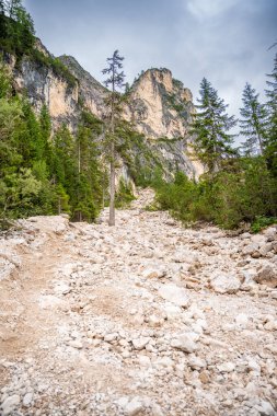 İtalya 'nın Braies Gölü' ne akan dağ akıntısı çam ormanları ve Dolomitlerin kayalık dağları ile çevrilidir. Yüksek kalite fotoğraf