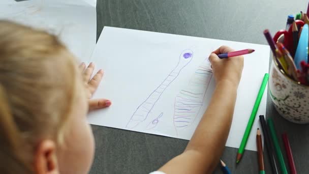 小さな女の子は自宅で色鉛筆を描いています 高品質の4K映像 — ストック動画