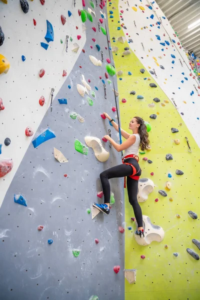 Ορειβάτης Νεαρή Γυναίκα Κρέμεται Χρωματιστά Άγκιστρα Για Αναρρίχηση Τεχνητό Τοίχο — Φωτογραφία Αρχείου