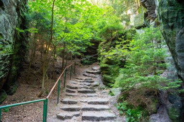 Prahovske skaly in sun light, Cesky raj stone cliff in Bohemian Paradise, Çek Cumhuriyeti. Yüksek kalite fotoğraf