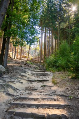 Prahovske skaly in sun light, Cesky raj stone cliff in Bohemian Paradise, Çek Cumhuriyeti. Yüksek kalite fotoğraf