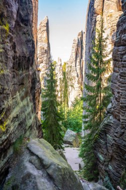 Prahovske skaly in sun light, Cesky raj stone cliff in Bohemian Paradise, Çek Cumhuriyeti. Yüksek kalite fotoğraf