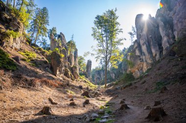 Prahovske skaly in sun light, Cesky raj stone cliff in Bohemian Paradise, Çek Cumhuriyeti. Yüksek kalite fotoğraf