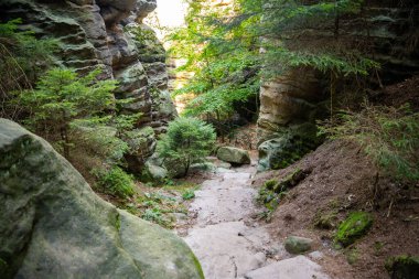 Prahovske skaly in sun light, Cesky raj stone cliff in Bohemian Paradise, Çek Cumhuriyeti. Yüksek kalite fotoğraf