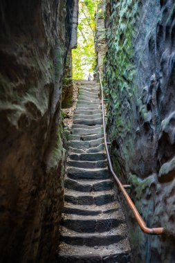 Prahovske skaly in sun light, Cesky raj stone cliff in Bohemian Paradise, Çek Cumhuriyeti. Yüksek kalite fotoğraf