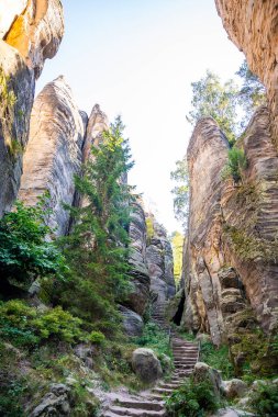 Prahovske skaly in sun light, Cesky raj stone cliff in Bohemian Paradise, Çek Cumhuriyeti. Yüksek kalite fotoğraf