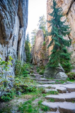 Prahovske skaly in sun light, Cesky raj stone cliff in Bohemian Paradise, Çek Cumhuriyeti. Yüksek kalite fotoğraf