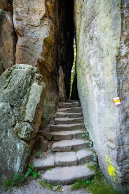 Prahovske skaly in sun light, Cesky raj stone cliff in Bohemian Paradise, Çek Cumhuriyeti. Yüksek kalite fotoğraf