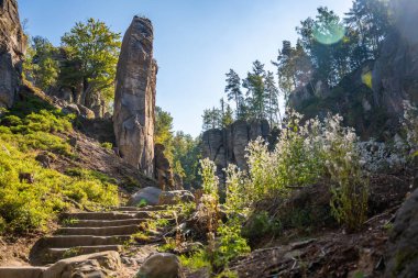 Prahovske skaly in sun light, Cesky raj stone cliff in Bohemian Paradise, Çek Cumhuriyeti. Yüksek kalite fotoğraf