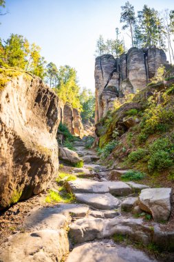 Prahovske skaly in sun light, Cesky raj stone cliff in Bohemian Paradise, Çek Cumhuriyeti. Yüksek kalite fotoğraf
