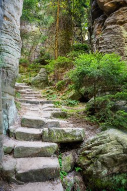 Prahovske skaly in sun light, Cesky raj stone cliff in Bohemian Paradise, Çek Cumhuriyeti. Yüksek kalite fotoğraf