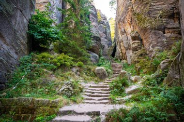 Prahovske skaly in sun light, Cesky raj stone cliff in Bohemian Paradise, Çek Cumhuriyeti. Yüksek kalite fotoğraf