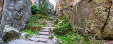 Prahovske skaly in sun light, Cesky raj stone cliff in Bohemian Paradise, Çek Cumhuriyeti. Yüksek kalite fotoğraf