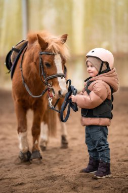 Ders başlamadan önce kahverengi midillisiyle birlikte koruyucu ceketli ve kasklı küçük bir kızın portresi. Yüksek kalite fotoğraf