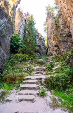 Prahovske skaly in sun light, Cesky raj stone cliff in Bohemian Paradise, Çek Cumhuriyeti. Yüksek kalite fotoğraf