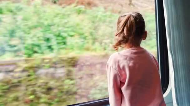 Niña Mirando Por Ventana Del Tren Afuera Durante Movimiento Viajar — Vídeo de stock