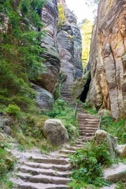 Prahovske skaly in sun light, Cesky raj stone cliff in Bohemian Paradise, Çek Cumhuriyeti. Yüksek kalite fotoğraf