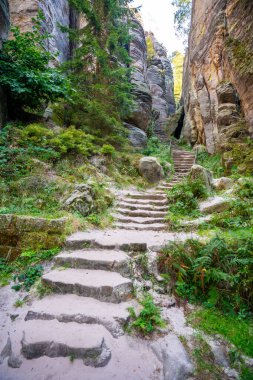 Prahovske skaly in sun light, Cesky raj stone cliff in Bohemian Paradise, Çek Cumhuriyeti. Yüksek kalite fotoğraf