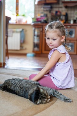 Evdeki oturma odasında gri kediyle oynayan sevimli küçük kız. Yüksek kalite fotoğraf