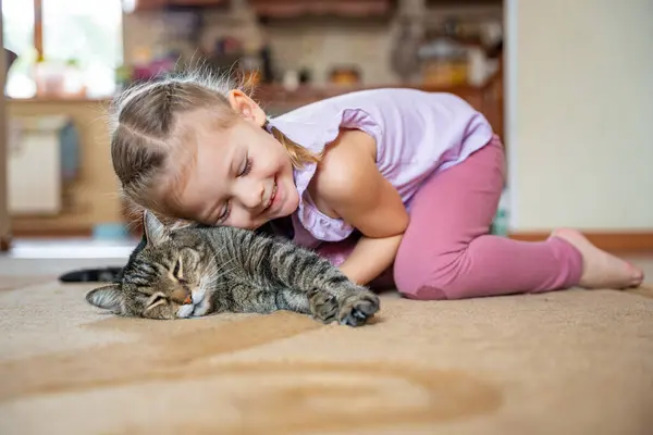 Χαριτωμένο Κοριτσάκι Αγκαλιάζει Γκρι Γάτα Στο Χαλί Στο Σαλόνι Του Φωτογραφία Αρχείου