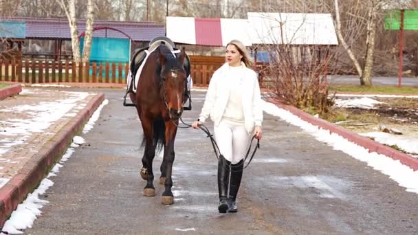 Piękny Zawodowy Dżokej Spacerujący Zimą Brązowym Koniem Farmie Przyjaźń Koniem — Wideo stockowe