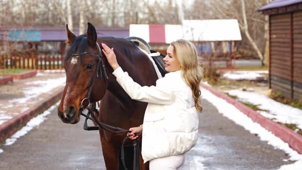 Joki Wanita Profesional Yang Cantik Berdiri Dekat Kuda Cokelat Dan — Stok Video