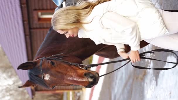 Piękna Profesjonalna Kobieta Dżokej Pieszczoty Przytulanie Brązowy Koń Farmie Przyjaźń — Wideo stockowe