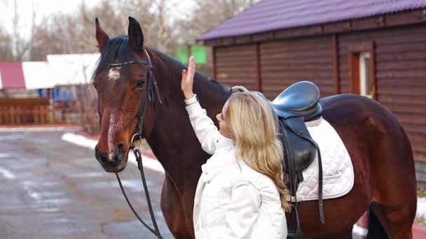 Beautiful Smiling Professional Female Jockey Standing Brown Horse Farm Friendship — Stock Video