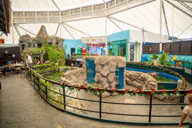 Pattaya, Tayland - 26 Aralık 2023: Pattaya, Tayland 'daki Sualtı Dünyası. Yüksek kalite fotoğraf