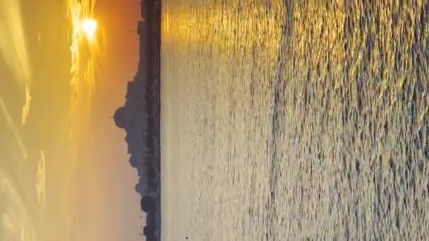 Presidentieel Paleis Abu Dhabi Bij Zonsondergang Lichten Verenigde Arabische Emiraten — Stockvideo