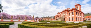 Prag, Çek Cumhuriyeti - 17 Mart 2024: Prag, Çek Cumhuriyeti 'nde açan sakura ile baharda Troja Sarayı. Yüksek kalite fotoğraf