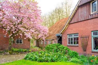Hollanda 'nın Gelselaar köyündeki tarihi binalar. Yüksek kalite fotoğraf