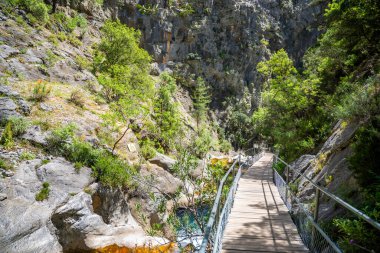 Türkiye 'nin Alanya yakınlarındaki Taurus dağlarında ahşap patikaları ve şelaleleri olan Sapadere kanyonu. Yüksek kalite fotoğraf