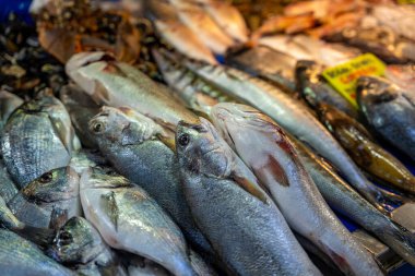 Türkiye 'nin Fethiye kentindeki balık pazarında çeşitli deniz ürünleri ve balıkların yakın görüntüsü. Çiğ balık ve deniz ürünleri. Yüksek kalite fotoğraf