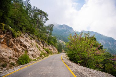Türkiye 'nin Fethiye ilçesi yakınlarındaki dağlarda otomobil, dağ yolları ve yılan manzarası. Yüksek kalite fotoğraf