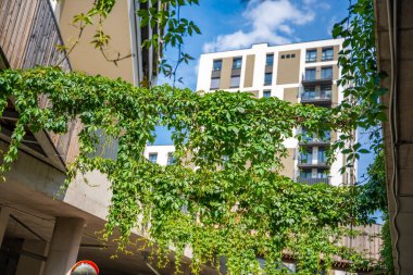 Entegre peyzajı olan yeni apartman evleri. Park yakınlarındaki lüks konutlar. Yüksek kalite fotoğraf